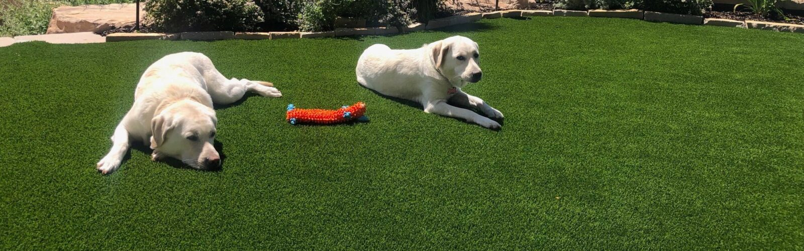 artificial-grass-pet-turf